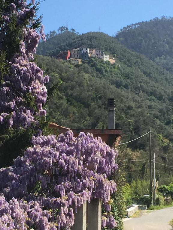 Five Lands Pink Cottage ليفانتو الغرفة الصورة